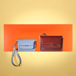 Marni Trunk新顏 恣意蔓延的色彩魅力與樂器箱包的藝術融合